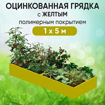 Грядка желтая (1 х 5)
